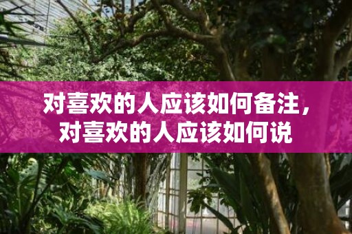 对喜欢的人应该如何备注，对喜欢的人应该如何说