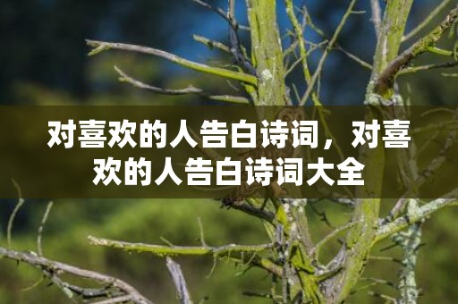 对喜欢的人告白诗词，对喜欢的人告白诗词大全