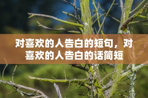 对喜欢的人告白的短句，对喜欢的人告白的话简短