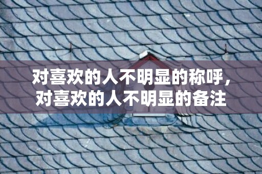 对喜欢的人不明显的称呼，对喜欢的人不明显的备注