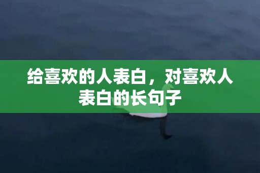 给喜欢的人表白，对喜欢人表白的长句子