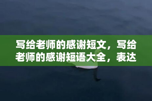写给老师的感谢短文，写给老师的感谢短语大全，表达感激的简短句子