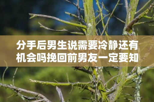 分手后男生说需要冷静还有机会吗挽回前男友一定要知道的事情