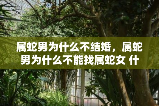 属蛇男为什么不结婚，属蛇男为什么不能找属蛇女 什么蛇是苦命蛇