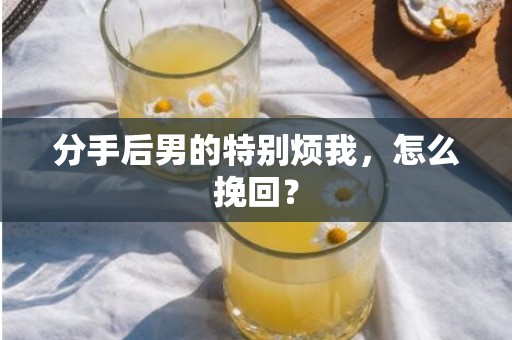 分手后男的特别烦我，怎么挽回？