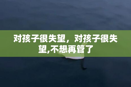 对孩子很失望，对孩子很失望,不想再管了