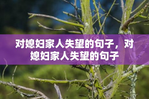 对媳妇家人失望的句子，对媳妇家人失望的句子