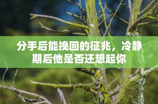 分手后能挽回的征兆，冷静期后他是否还想起你