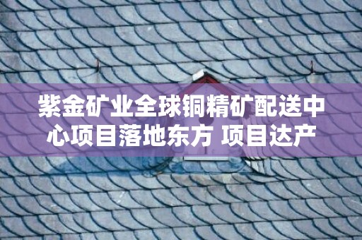 紫金矿业全球铜精矿配送中心项目落地东方 项目达产后年产值将达260亿元