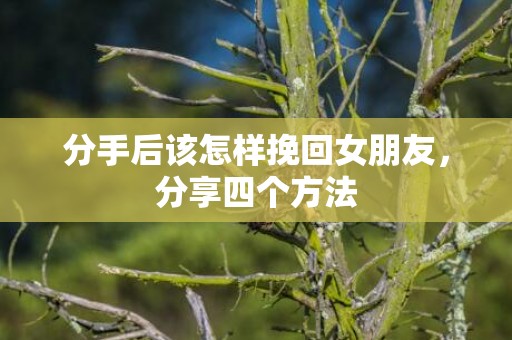 分手后该怎样挽回女朋友，分享四个方法