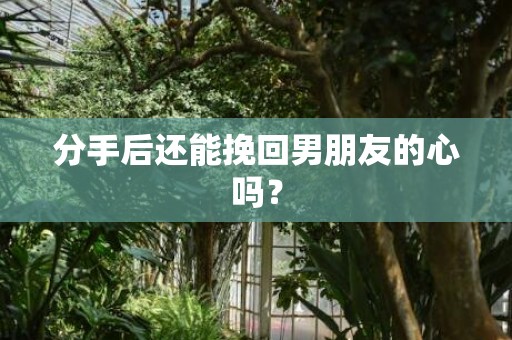 分手后还能挽回男朋友的心吗？