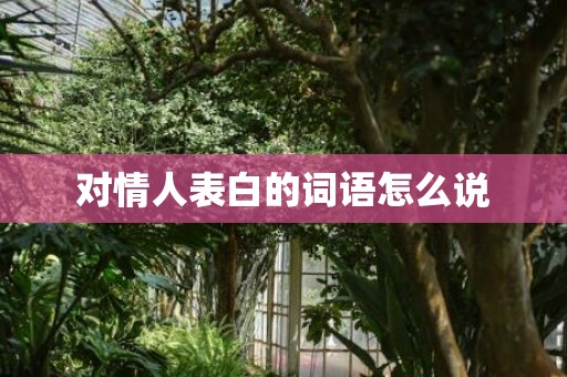 对情人表白的词语怎么说