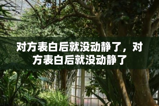 对方表白后就没动静了，对方表白后就没动静了