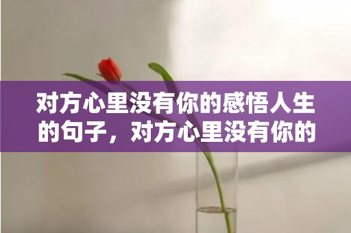 对方心里没有你的感悟人生的句子，对方心里没有你的句子