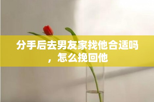 分手后去男友家找他合适吗，怎么挽回他