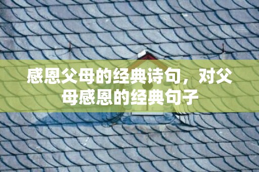 感恩父母的经典诗句，对父母感恩的经典句子