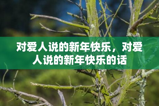 对爱人说的新年快乐，对爱人说的新年快乐的话