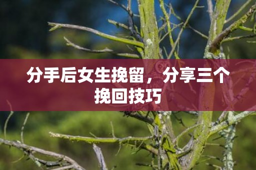 分手后女生挽留，分享三个挽回技巧