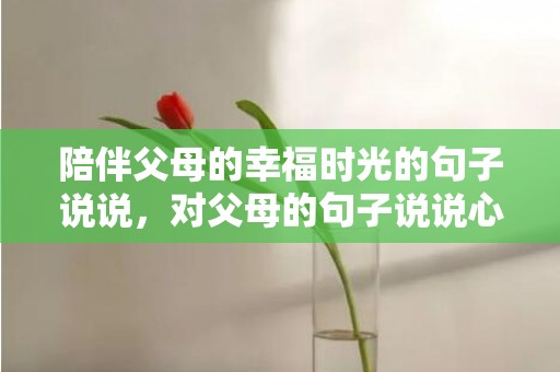 陪伴父母的幸福时光的句子说说，对父母的句子说说心情