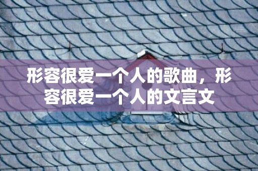 形容很爱一个人的歌曲，形容很爱一个人的文言文