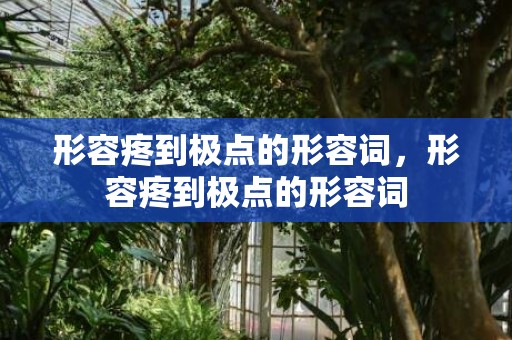 形容疼到极点的形容词，形容疼到极点的形容词