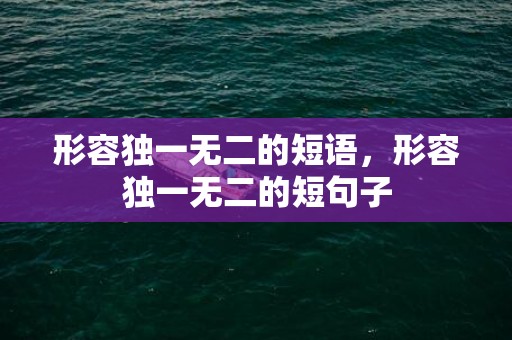 形容独一无二的短语，形容独一无二的短句子