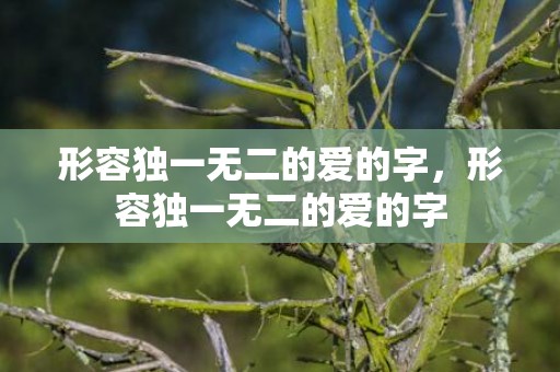 形容独一无二的爱的字，形容独一无二的爱的字