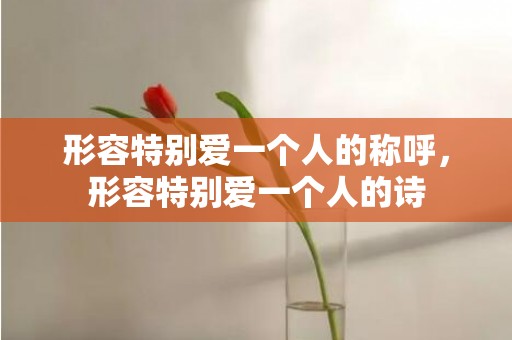 形容特别爱一个人的称呼，形容特别爱一个人的诗