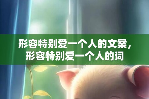 形容特别爱一个人的文案，形容特别爱一个人的词