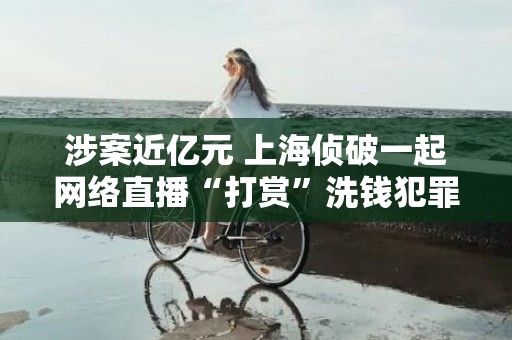 涉案近亿元 上海侦破一起网络直播“打赏”洗钱犯罪案