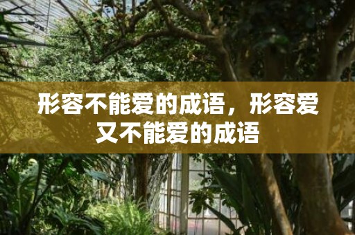 形容不能爱的成语，形容爱又不能爱的成语