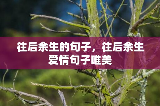 往后余生的句子，往后余生爱情句子唯美