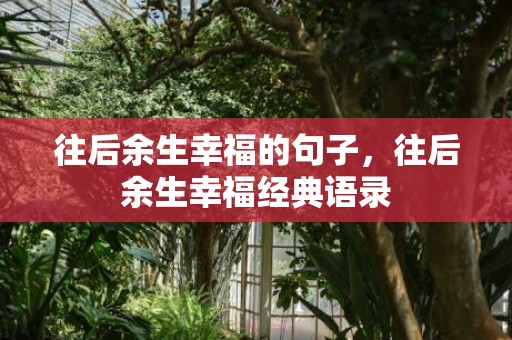 往后余生幸福的句子，往后余生幸福经典语录