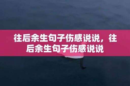 往后余生句子伤感说说，往后余生句子伤感说说