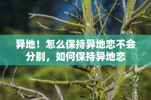 异地！怎么保持异地恋不会分别，如何保持异地恋