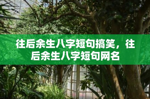 往后余生八字短句搞笑，往后余生八字短句网名