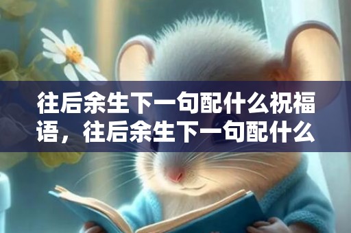 往后余生下一句配什么祝福语，往后余生下一句配什么