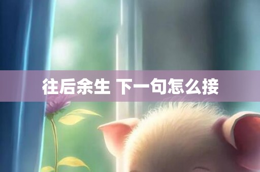 往后余生 下一句怎么接