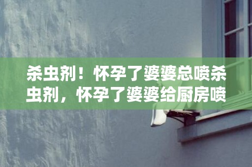 杀虫剂！怀孕了婆婆总喷杀虫剂，怀孕了婆婆给厨房喷杀虫剂