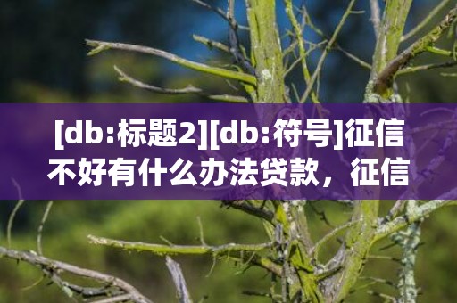 [db:标题2][db:符号]征信不好有什么办法贷款，征信不好有什么办法买房