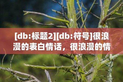 [db:标题2][db:符号]很浪漫的表白情话，很浪漫的情话长句文案