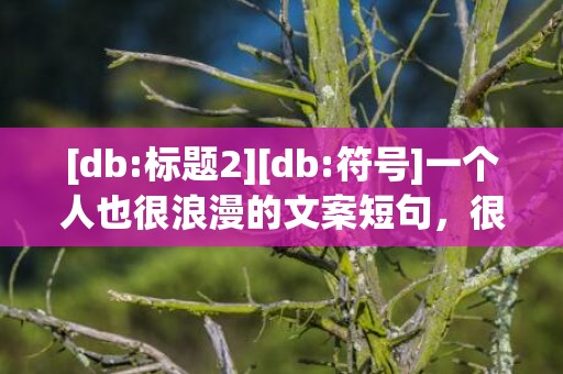 [db:标题2][db:符号]一个人也很浪漫的文案短句，很浪漫的情话短句文案