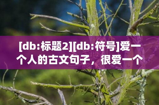 [db:标题2][db:符号]爱一个人的古文句子，很爱一个人的古文诗句