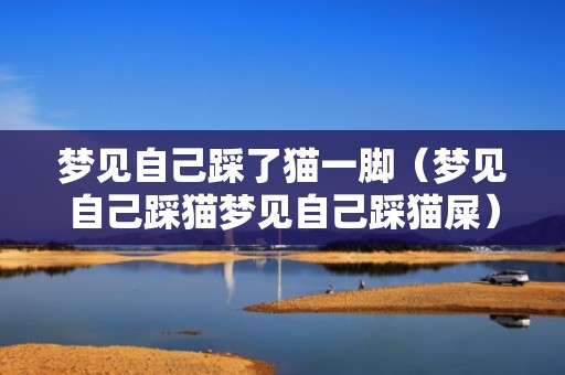 梦见自己踩了猫一脚（梦见自己踩猫梦见自己踩猫屎）