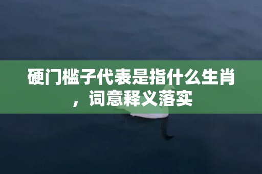 硬门槛子代表是指什么生肖，词意释义落实