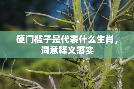 硬门槛子是代表什么生肖，词意释义落实