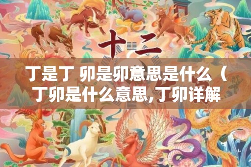 丁是丁 卯是卯意思是什么（丁卯是什么意思,丁卯详解!丁是丁卯是卯的解释）