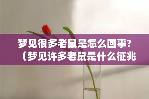 梦见很多老鼠是怎么回事?（梦见许多老鼠是什么征兆梦见老鼠是什么征兆成群在地下爬_...）