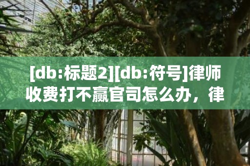[db:标题2][db:符号]律师收费打不赢官司怎么办，律师收费官司打赢才收费吗