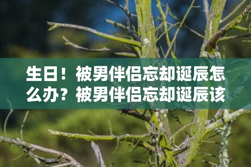 生日！被男伴侣忘却诞辰怎么办？被男伴侣忘却诞辰该不应赌气